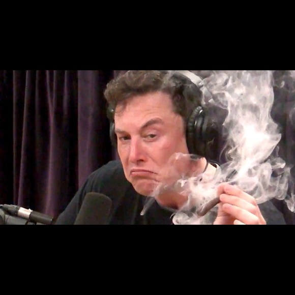 Meet your Posher, Roberto - Picture 1 of 1